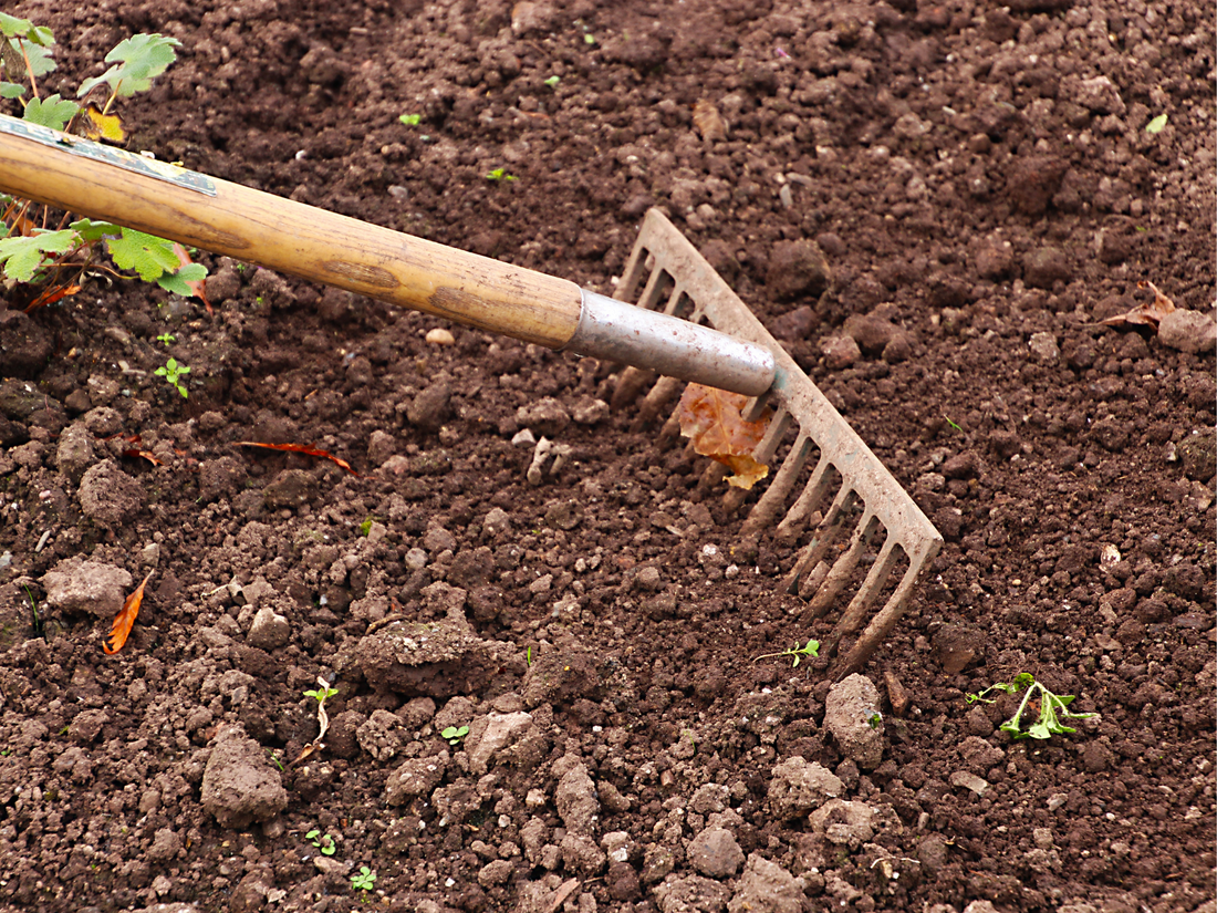 Choisir le Meilleur Râteau de Désherbage pour Votre Jardin